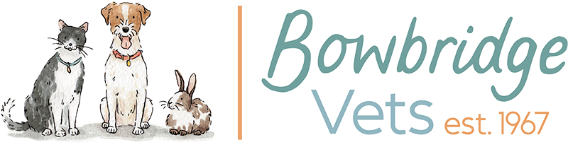 Bowbridge Veterinary Group