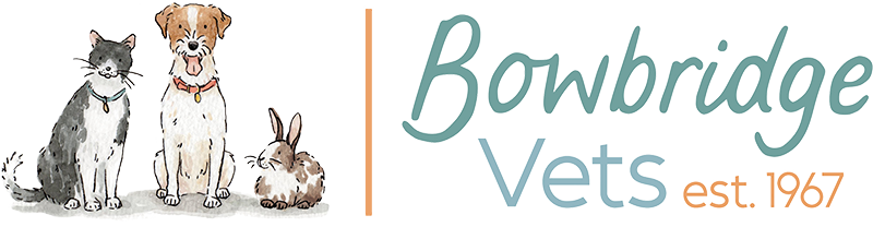 Visit Bowbridge Veterinary Group home page